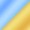 Or / Ecaille Bleu